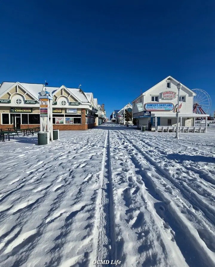 🎠 All Things OC 🎠 tweet media