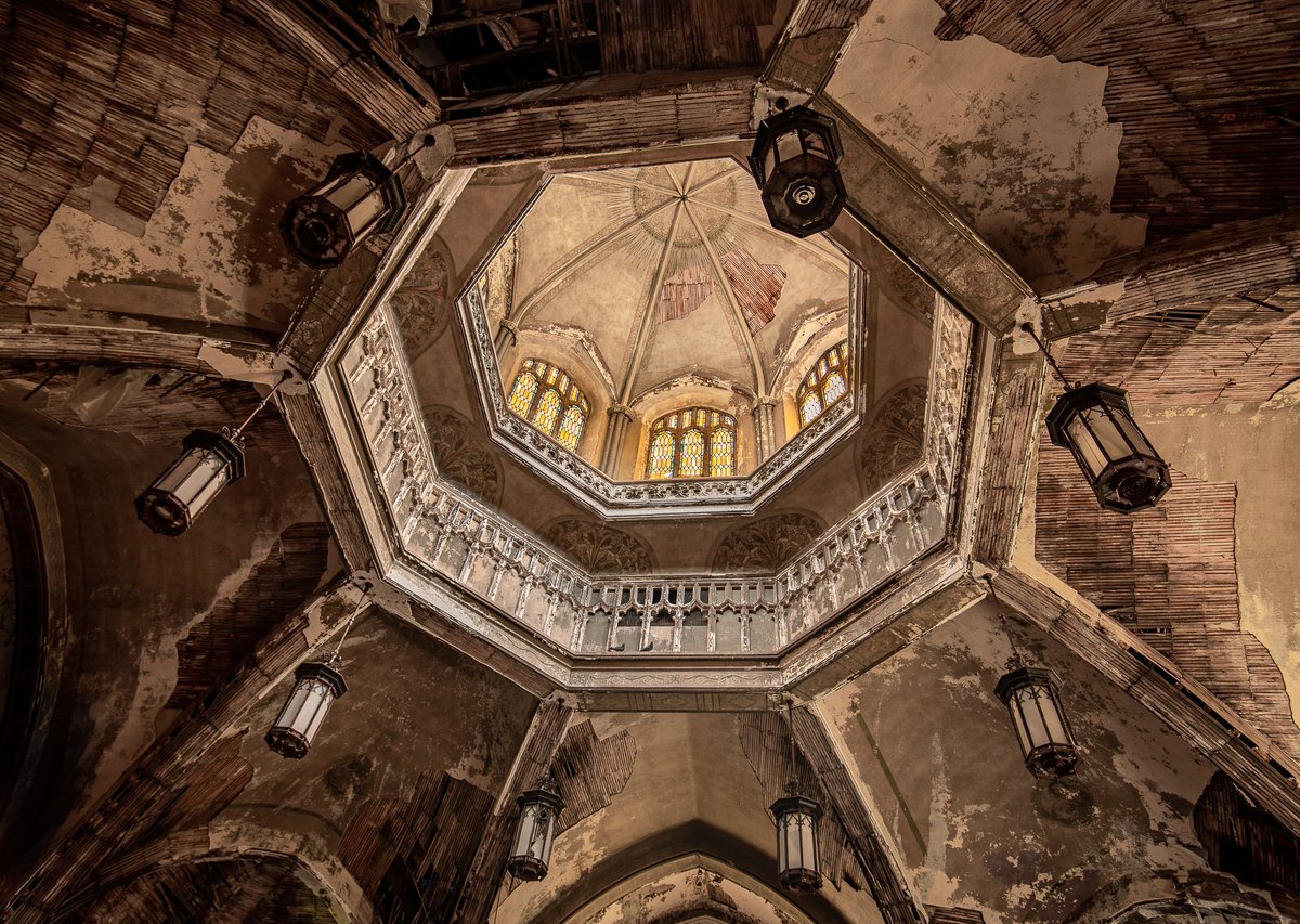 Mr. P. Explores tweet media