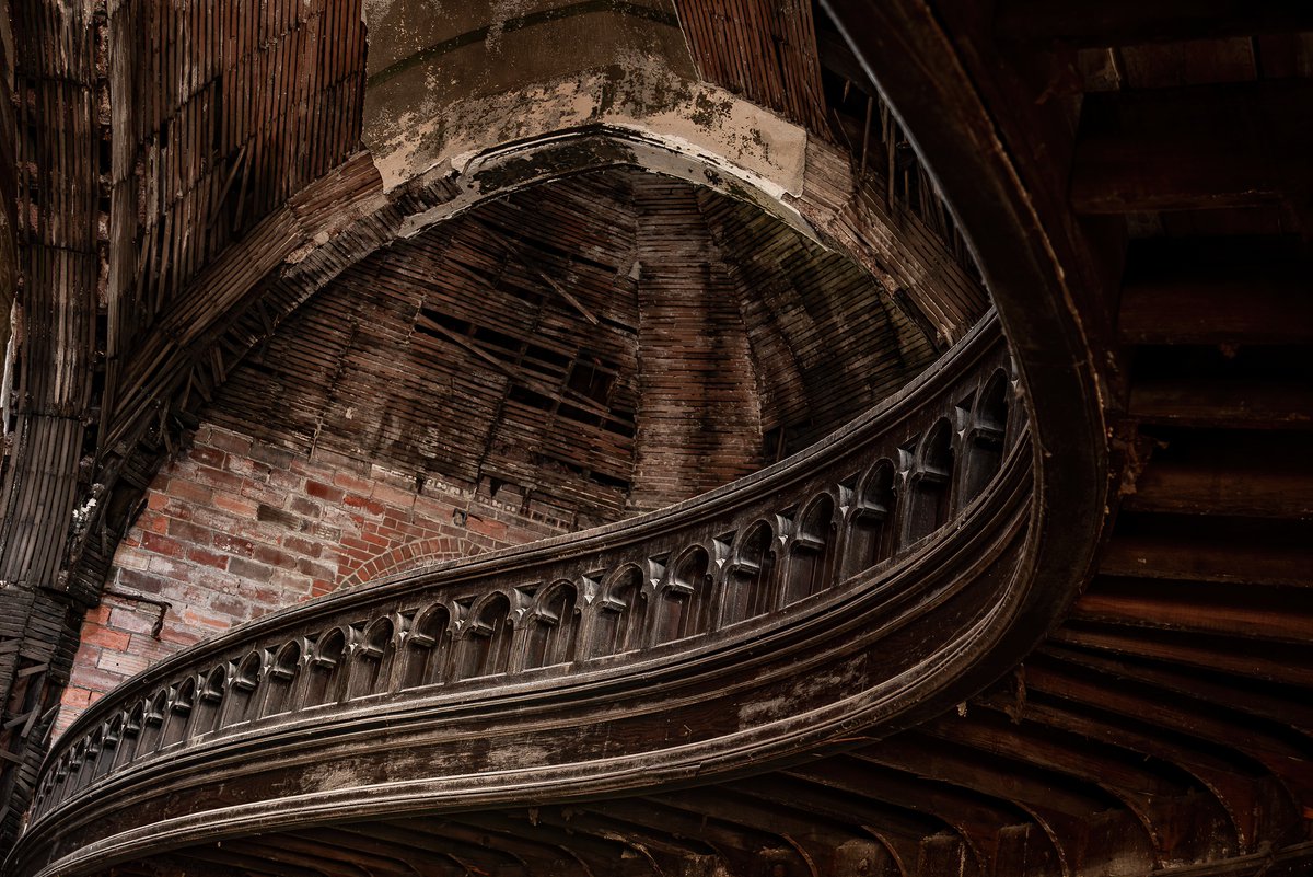 Mr. P. Explores tweet media