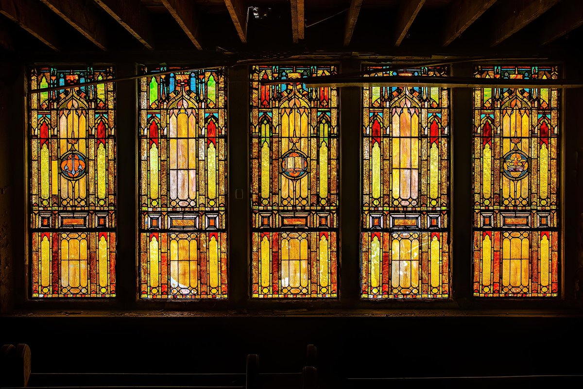 Mr. P. Explores tweet media