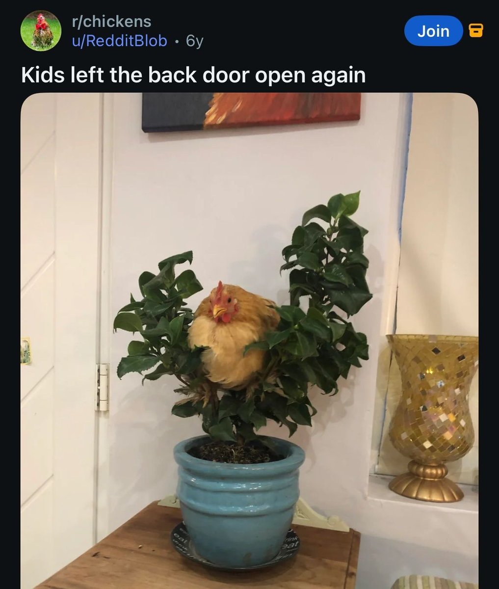no context memes tweet media