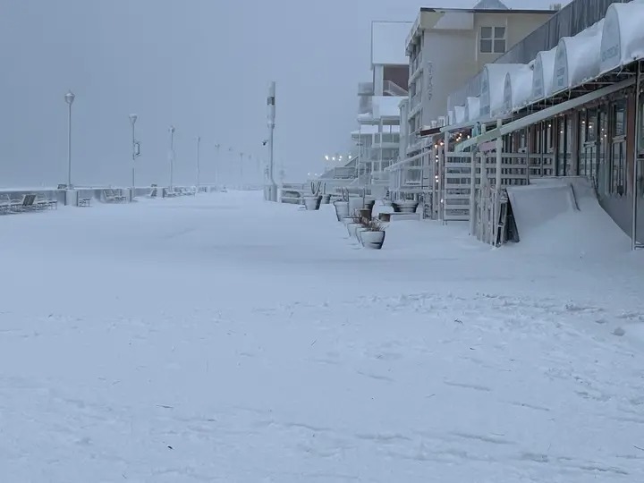 🎠 All Things OC 🎠 tweet media