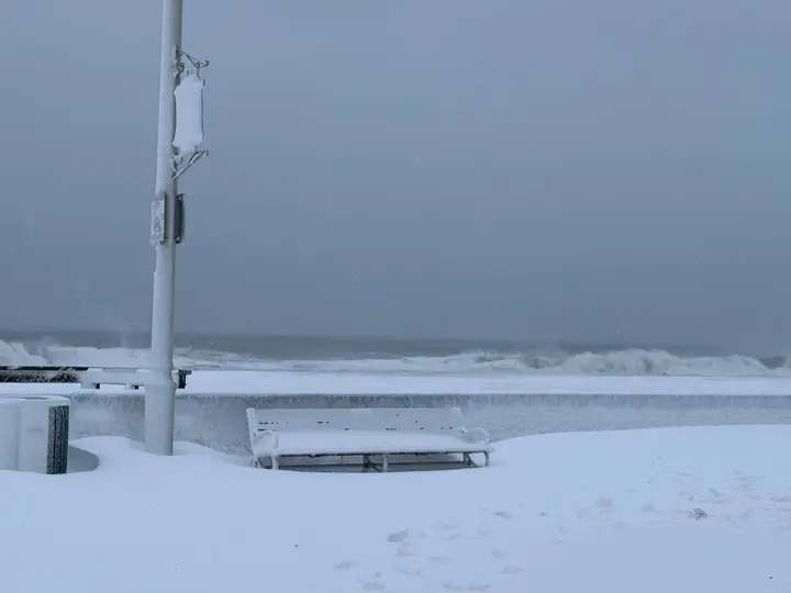 🎠 All Things OC 🎠 tweet media