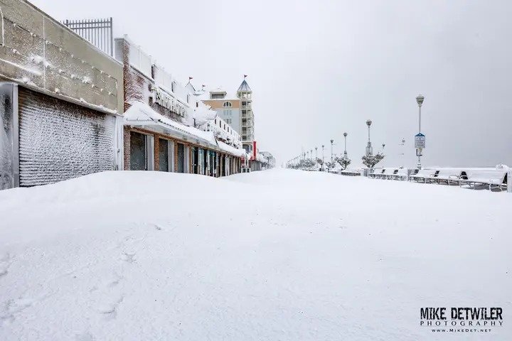 🎠 All Things OC 🎠 tweet media