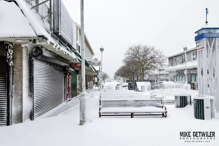 🎠 All Things OC 🎠 tweet media