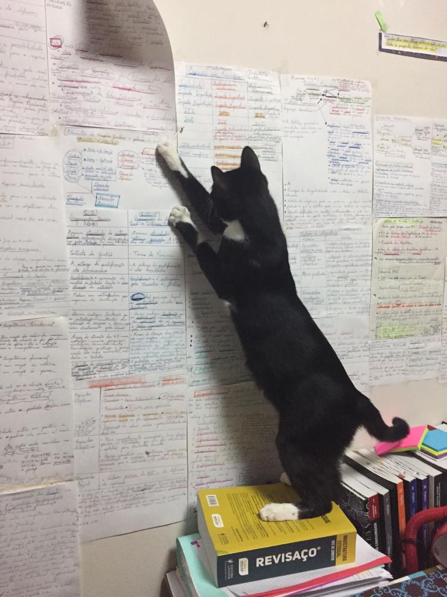 Sally_kaidan's tweet image. 「壁に貼っただけでさ、
覚えた気になってない?」
「・・・・・・」