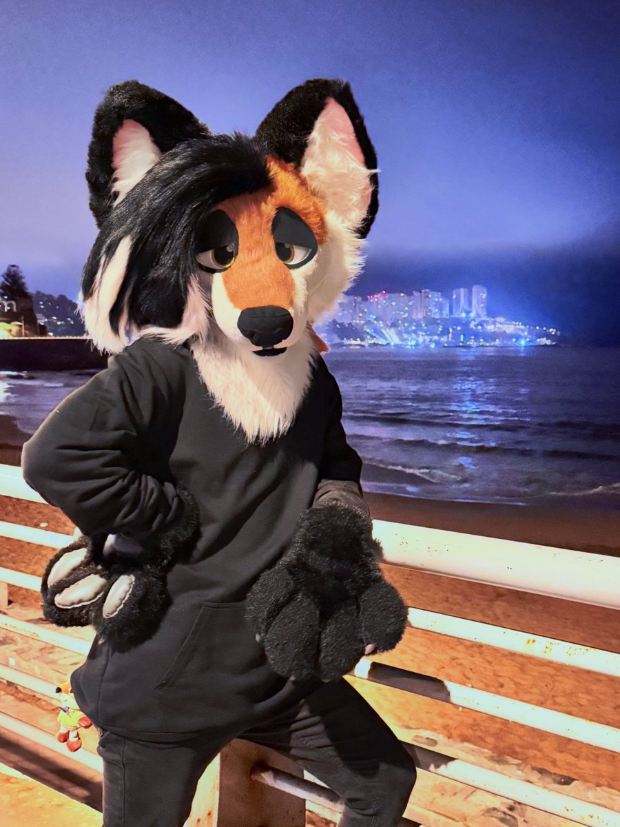 Vulpy fox 🦊💤 tweet media