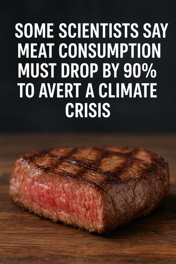 Ribz of Tik Tok tweet media