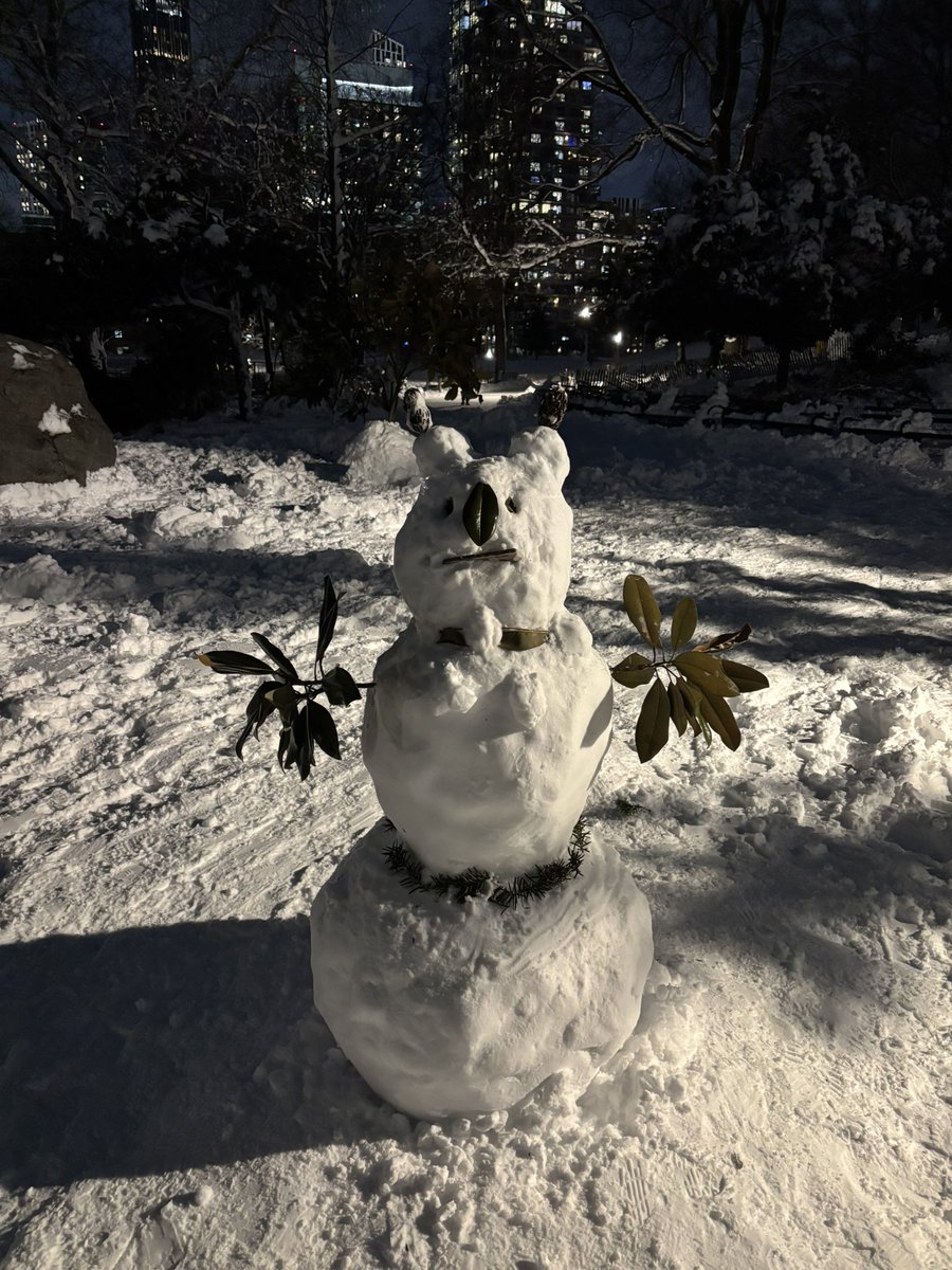 genbardy's tweet photo. snow koala :D https://t.co/Q54HZEp6pO