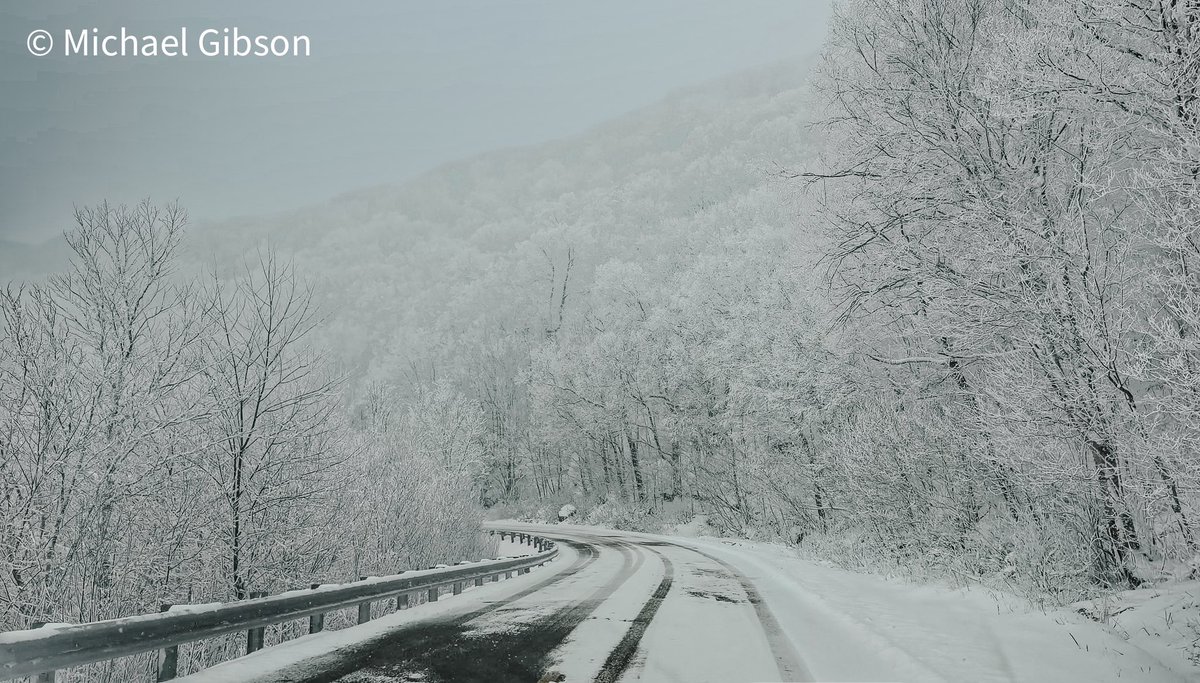 Michael Gibson tweet media