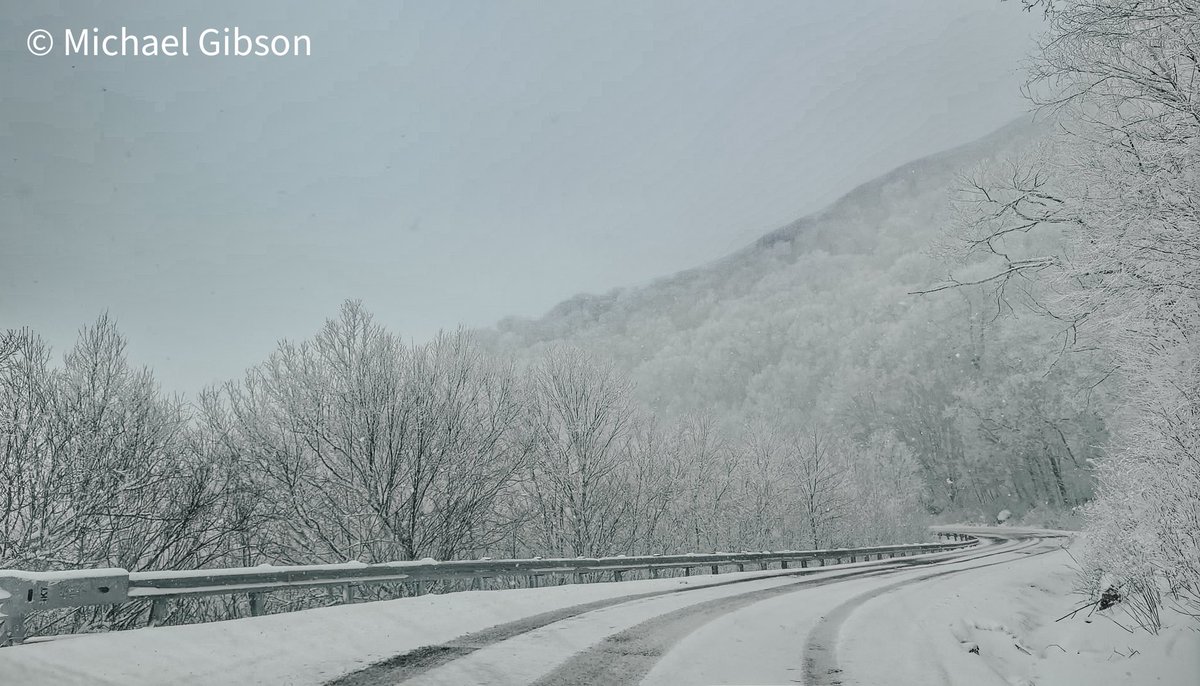 Michael Gibson tweet media