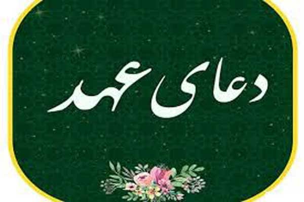 Maryam tweet media