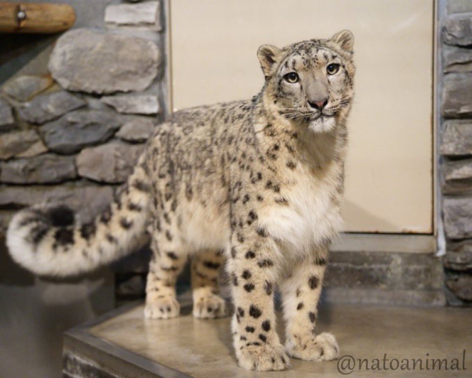 zoul. (ΘΔ) «🍉» tweet media