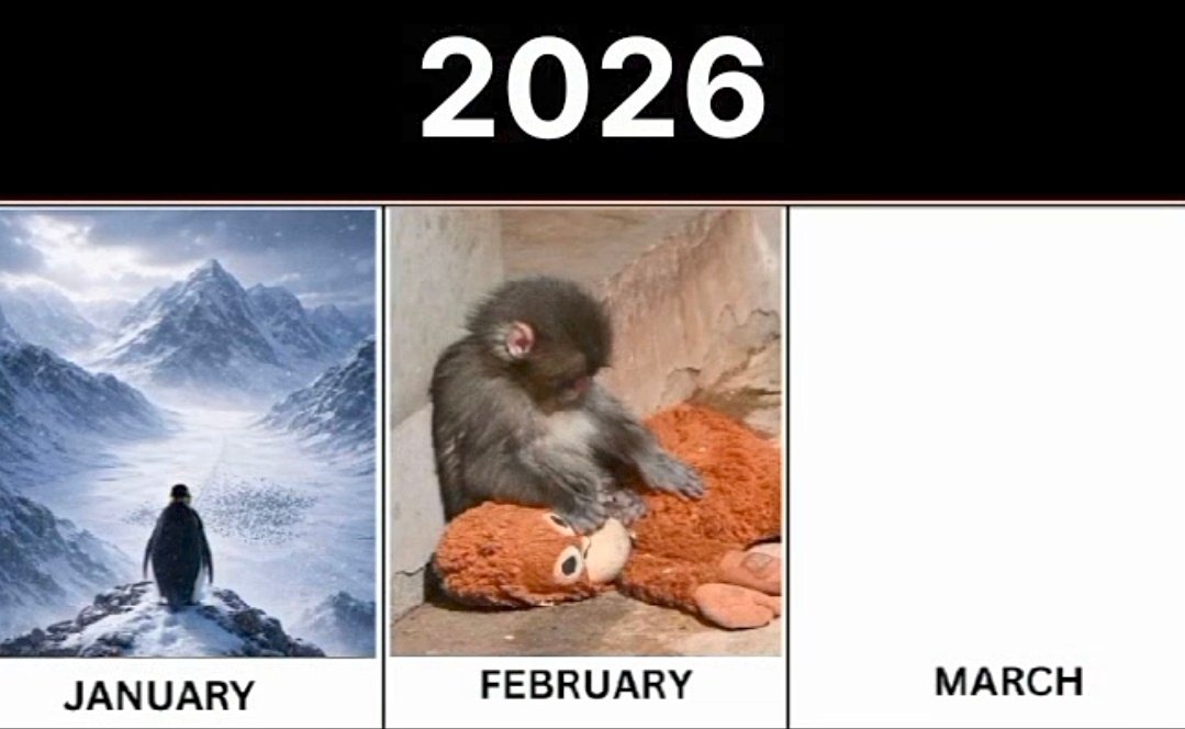 SP-CRYPTO tweet media