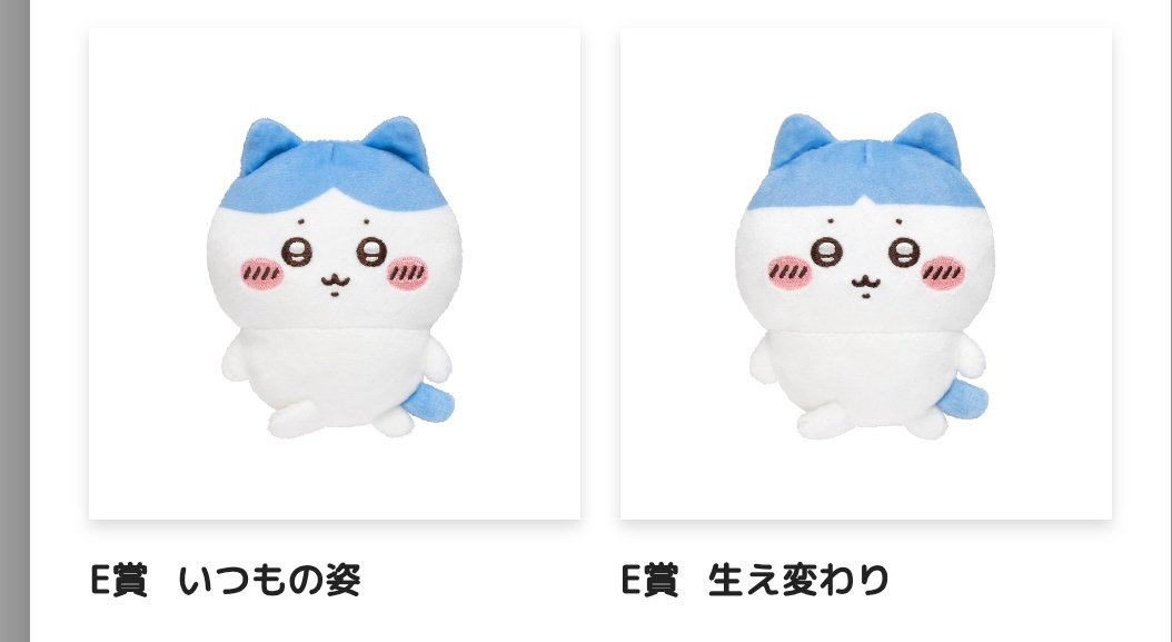 ひよこちゃん tweet media