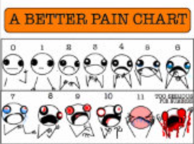 Dusty Bumps (@dusty_bumps) on Twitter photo 