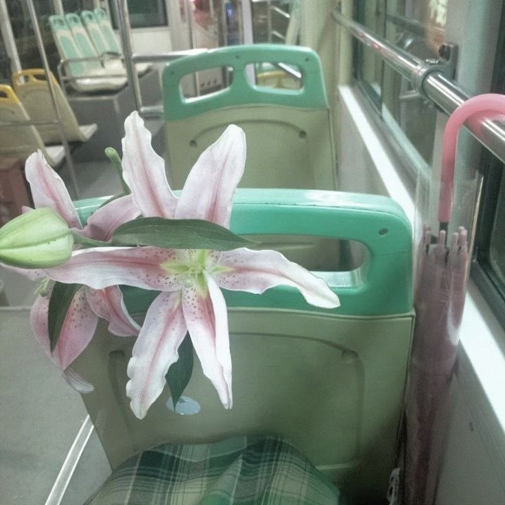 𓈒 ࣪ ˖ tweet media