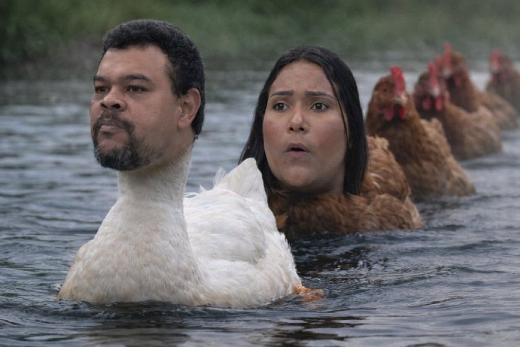 GALINHA QUE ACOMPANHA PATO MORRE AFOGADO NÉ CHAIANY