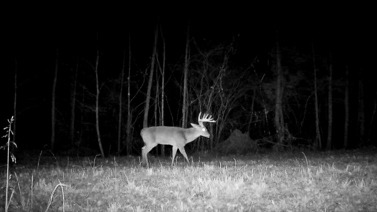 Still holding. <a href="/brown/">z'</a>