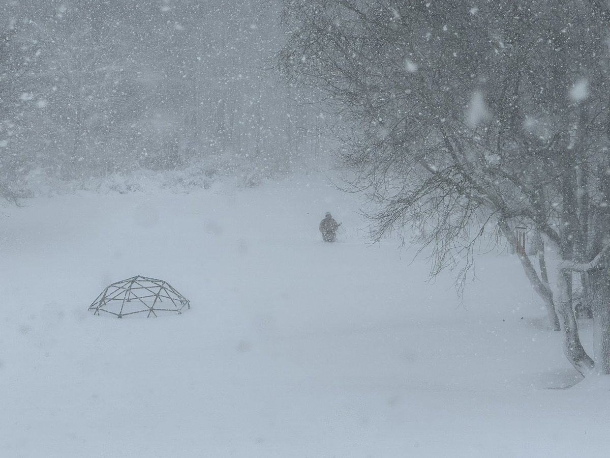 scuba Steve tweet media