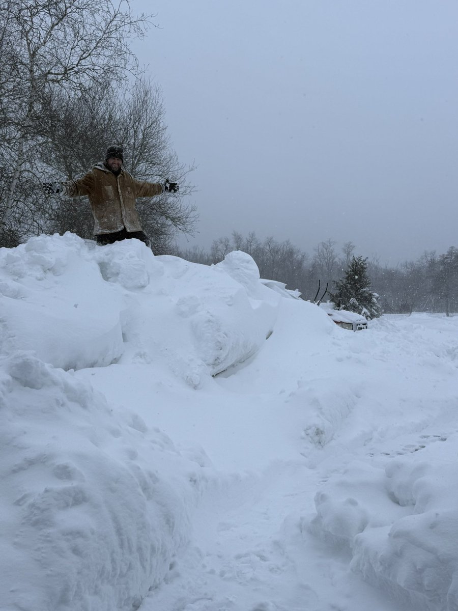 scuba Steve tweet media