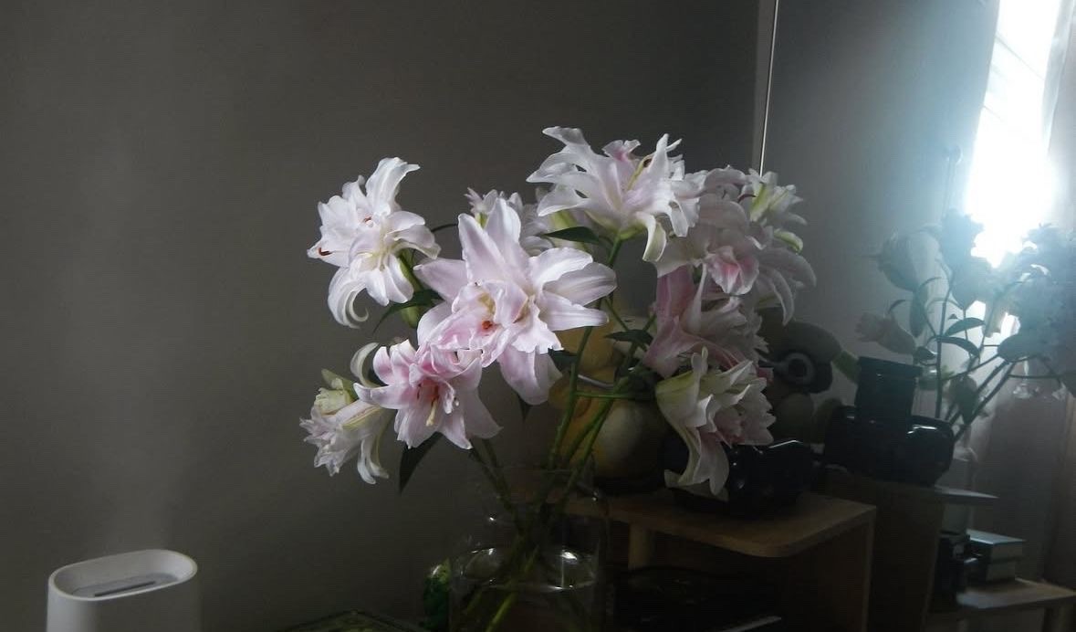 hîv. (@sorrrowfull) on Twitter photo 