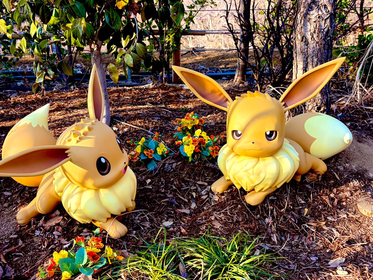 これは好きだったイーブイちゃんたち🤎🤍