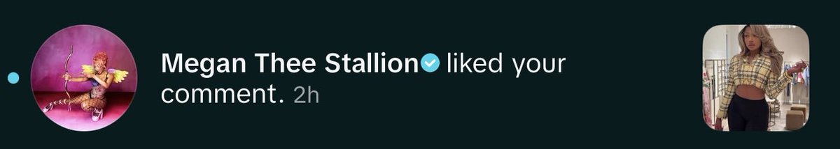 i’ve never screamed so loud in my life bro i love you <a href="/theestallion/">TINA SNOW</a>