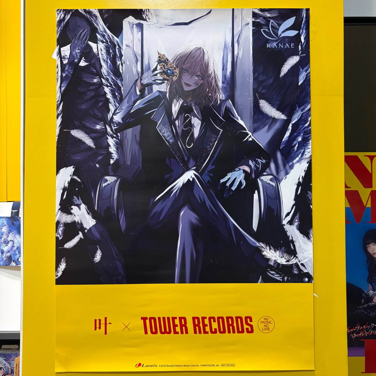 叶】 1st full album「藍」 入荷しました💿 🎁タワレコ特典：レプリカ