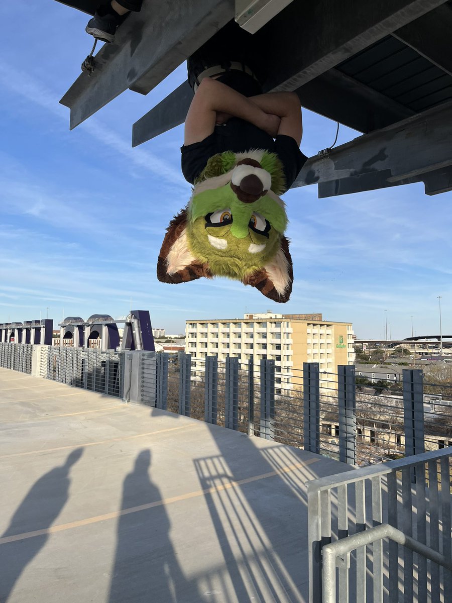 Rawrleigh Narf Cawoolina tweet media