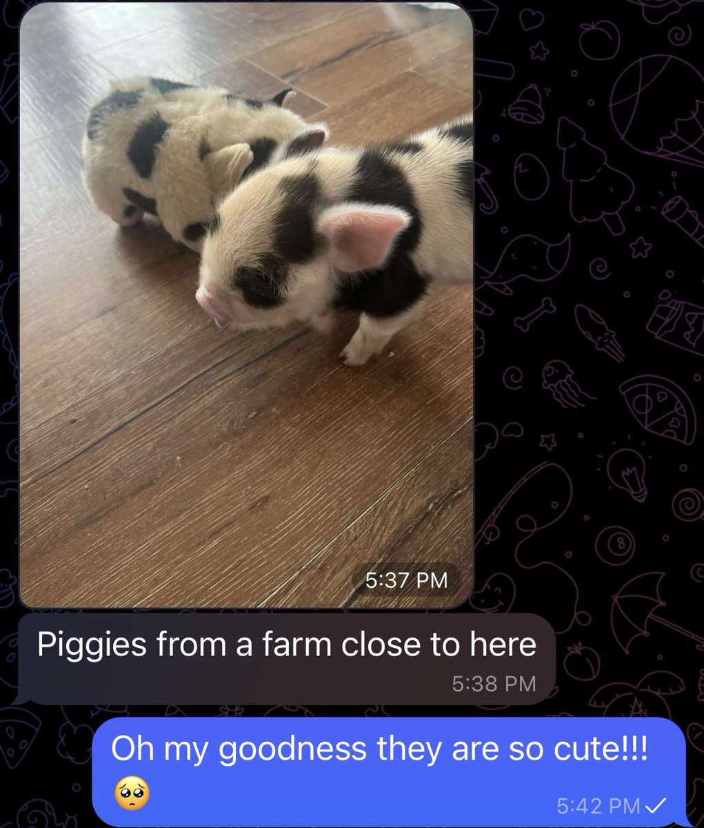 Hiii sorry I haven't been very active today, everyone enjoy PIGLET PICS from one of my loyal subs 😭🐷