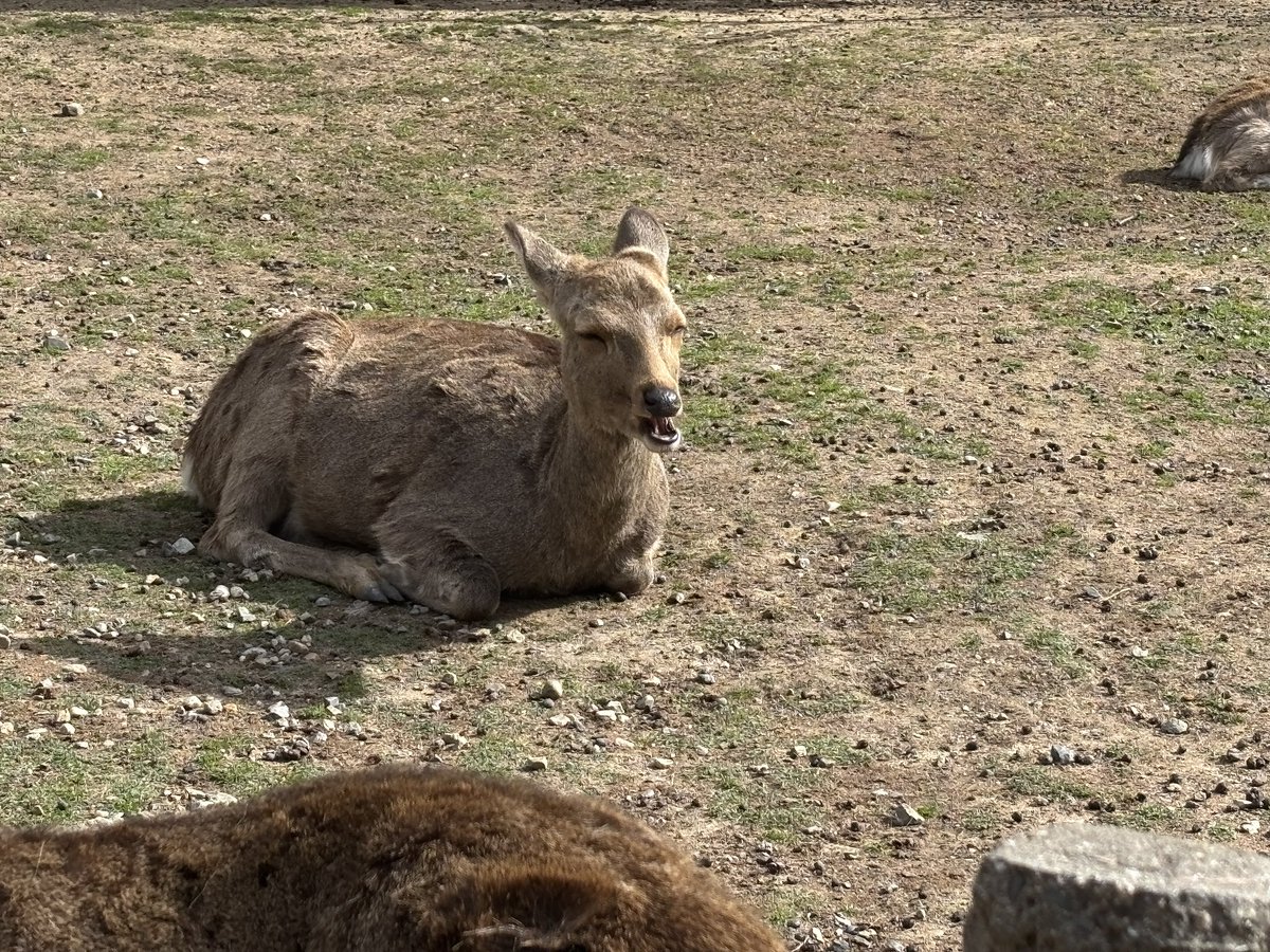 てあとて 夏からPC復活 tweet media