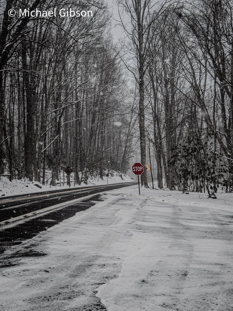 Michael Gibson tweet media