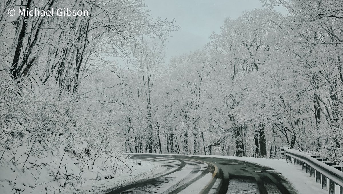 Michael Gibson tweet media