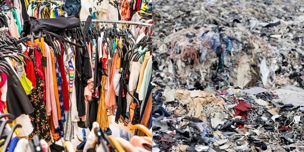 meredith tweet media