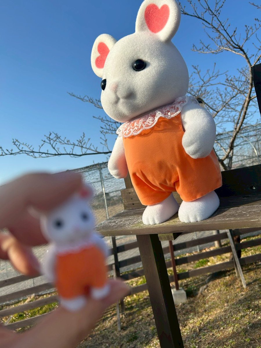 シルバニアパーク
withマシュマロネズミ　ピンボケver.