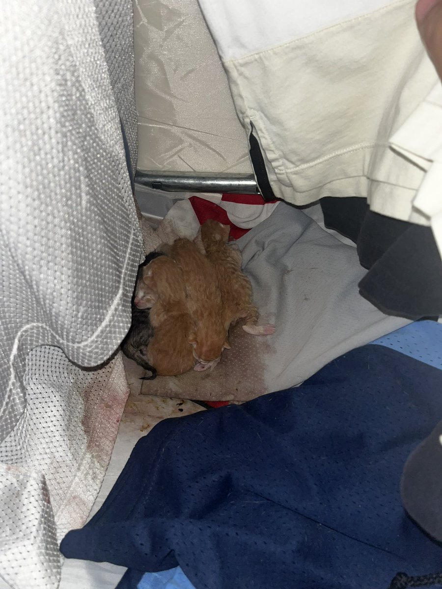 奥田健太郎 tweet media