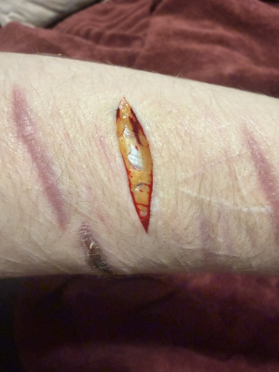 SPORKS ⚜️ tweet media