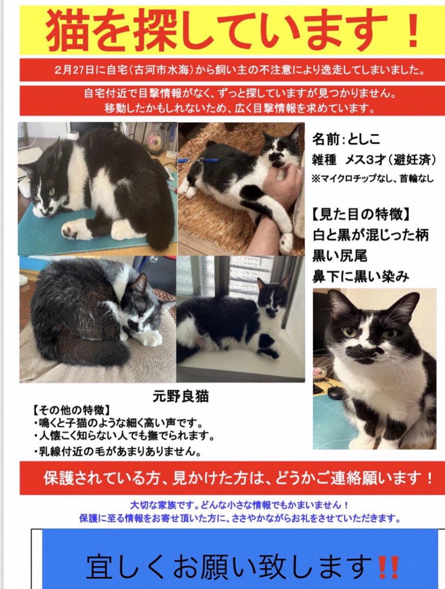 運拾い🗑️🚶✨

今日は少し肌寒いです❄️

皆様、体調には気を付けて😺

#迷子猫　#ゴミ拾い　#茨城県　#古河市
