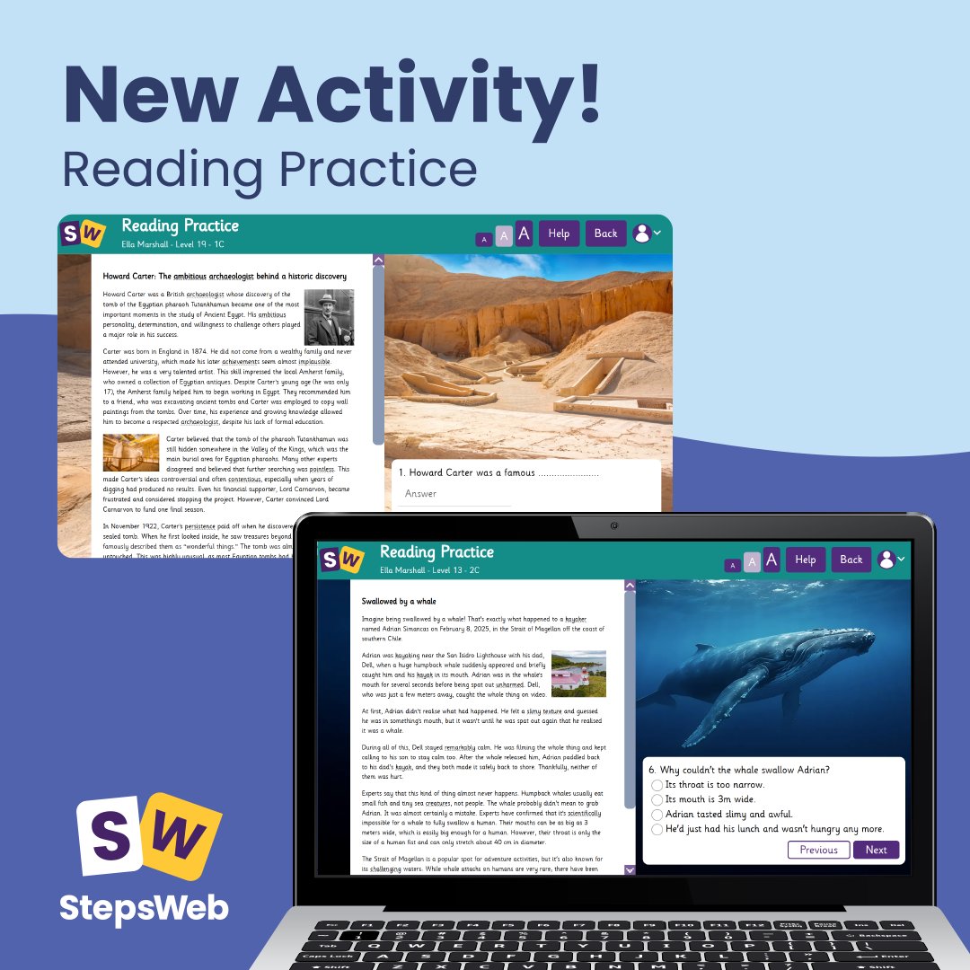 StepsWeb tweet media