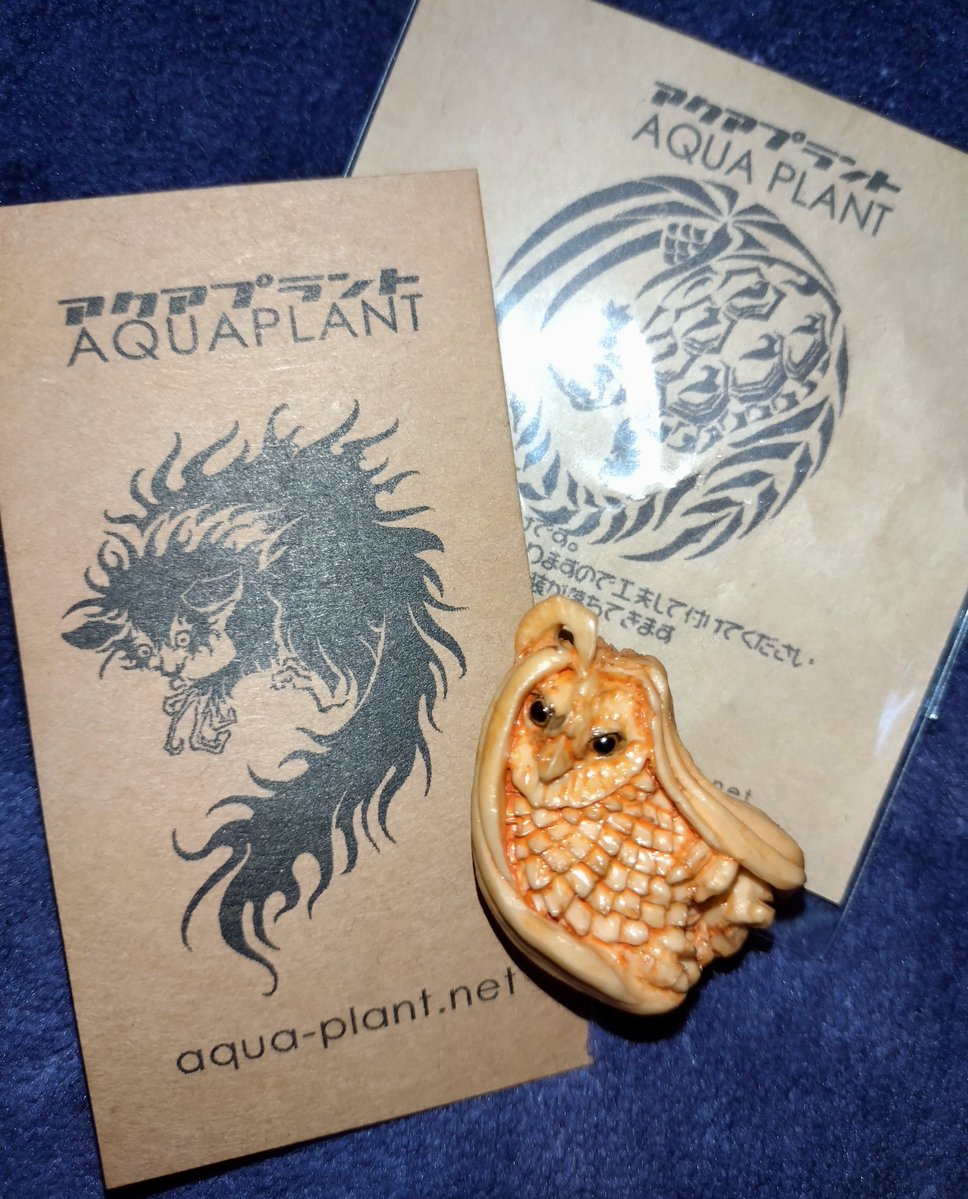 守亜（もりあ） (@Aquanaizer) / Posts / X