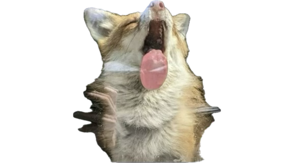 GymSergeant's tweet photo. @wolfballsss This made my dog brain go stupid https://t.co/nV2GphuYFi