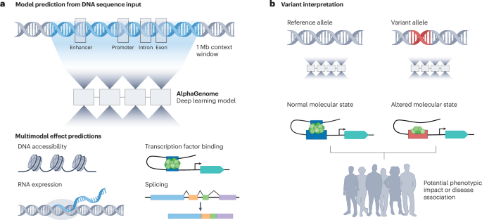 NatureStructMolBiol tweet media