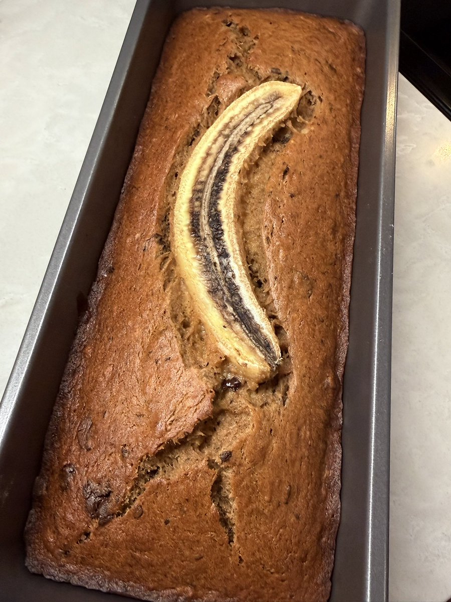 Shoto 🗡️ tweet media