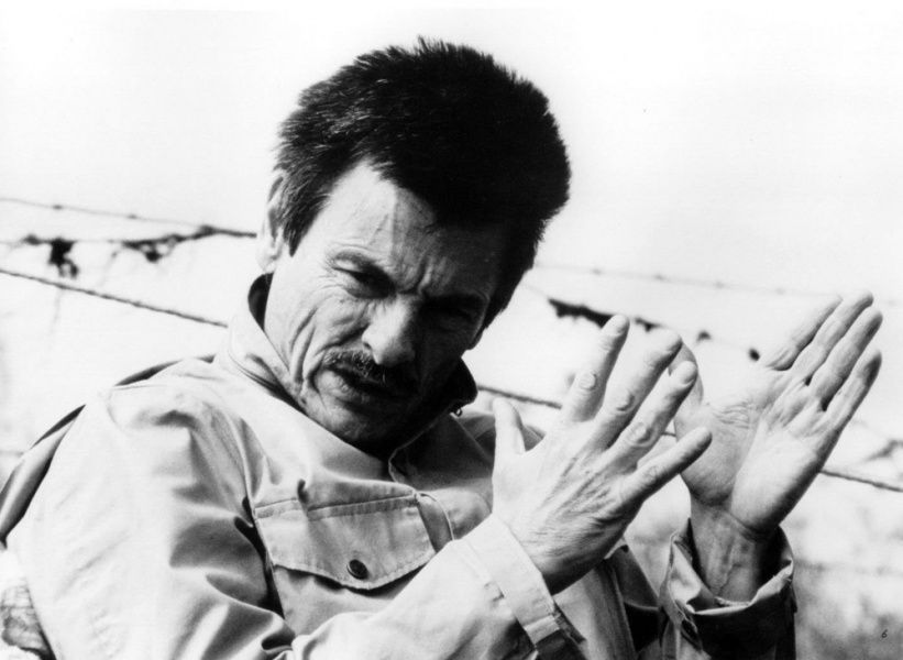 “Modern mass culture, aimed at the 'consumer', the civilisation of prosthetics, is crippling people's souls, setting up barriers between man and the crucial questions of his existence, his consciousness of himself as a spiritual being.”

―Andrei Tarkovsky