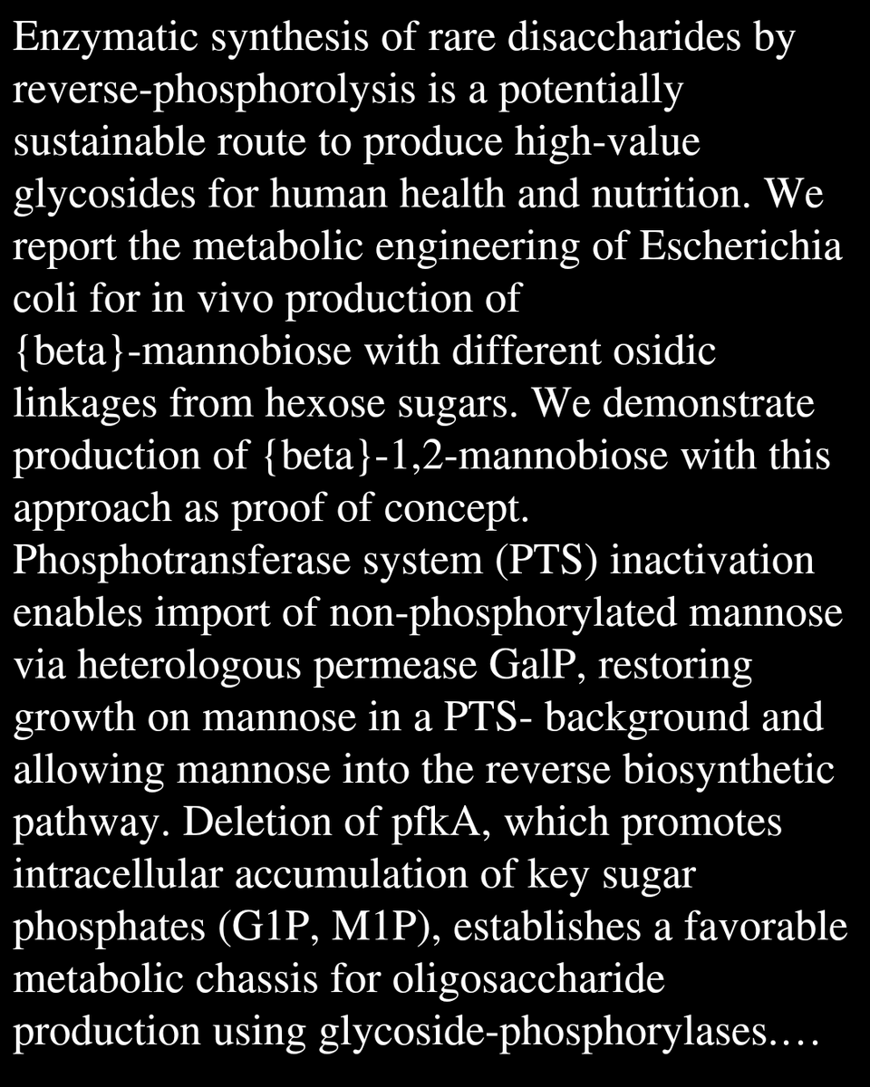 Metabolic engineering of Escherichia coli strains for the in vivo synthesis of GP-mediated oligosaccharides

Tedesco, P., Durand, J., Tarquis, L., Potocki-Veronese, G., Letisse, F.
biorxiv.org/content/10.648…