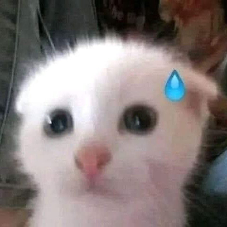 Burger 🔞 tweet media