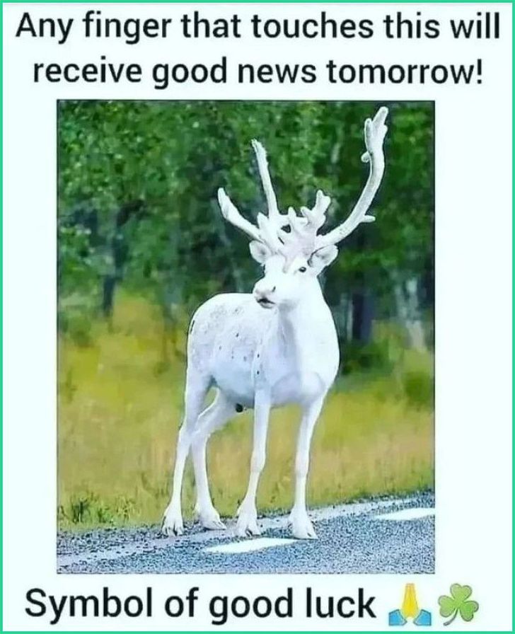 Law_of_attraction tweet media