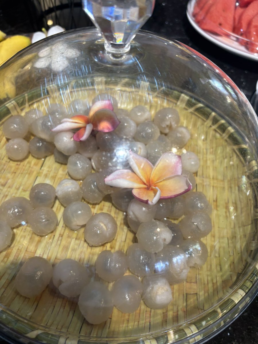 Jared Kalina tweet media