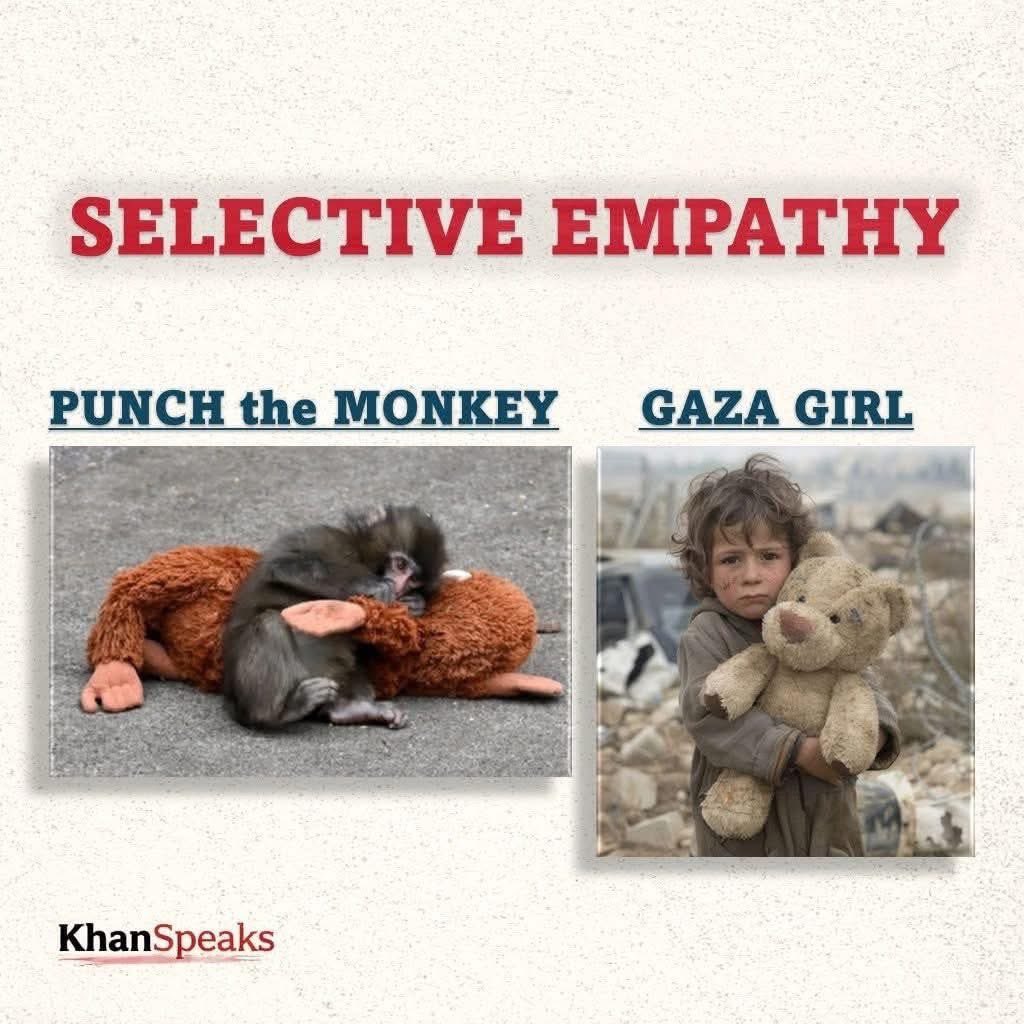 A monkey moves you.
But a massacred child doesn’t—
Because the media didn’t tell you to feel.

The whole world is crying today.
Tears everywhere.
Broken hearts.
Because a monkey lost its toy.

Celebrities shared it.
Media pushed it.
People wrote essays on humanity.

But tell me—